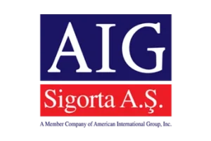 Aig Logo